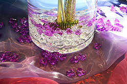 BOATHOUSE BIRTHDAY BASH